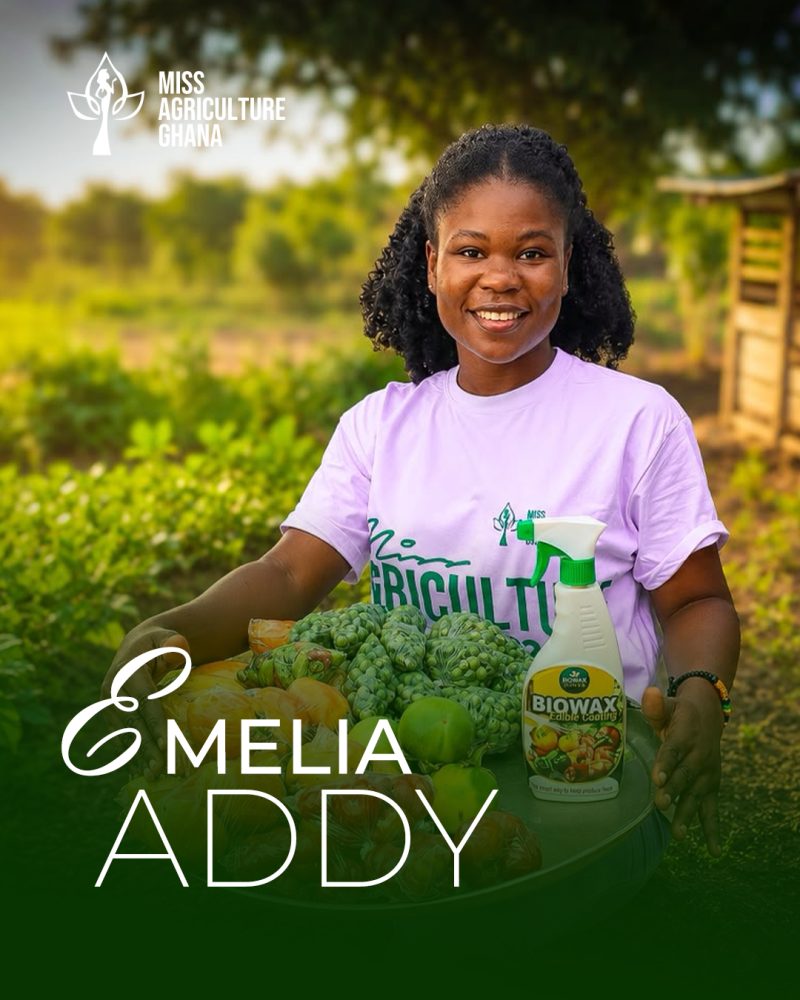 Emelia Addy