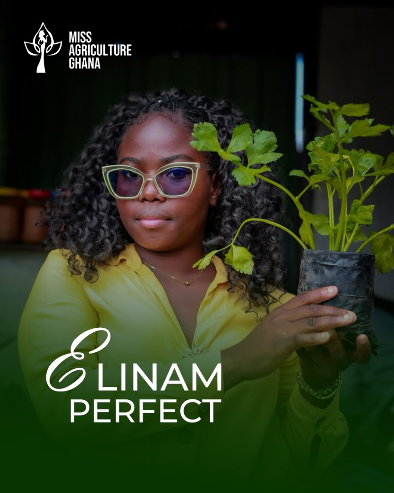 Perfect Elinam Agbeji