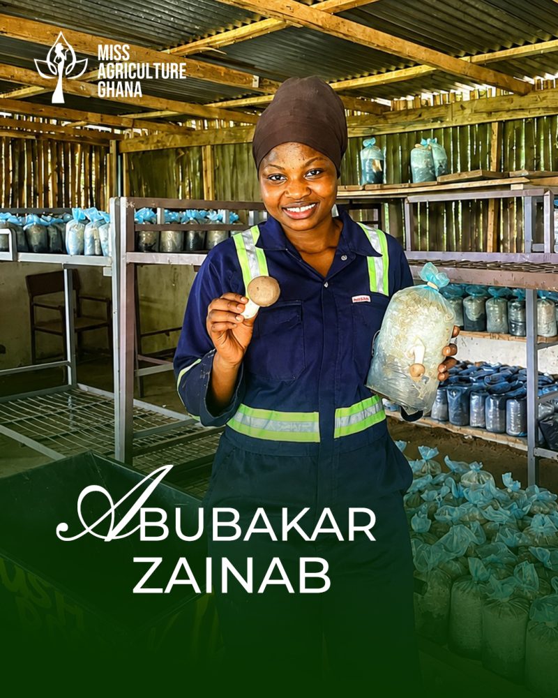 Zainab Abubakar
