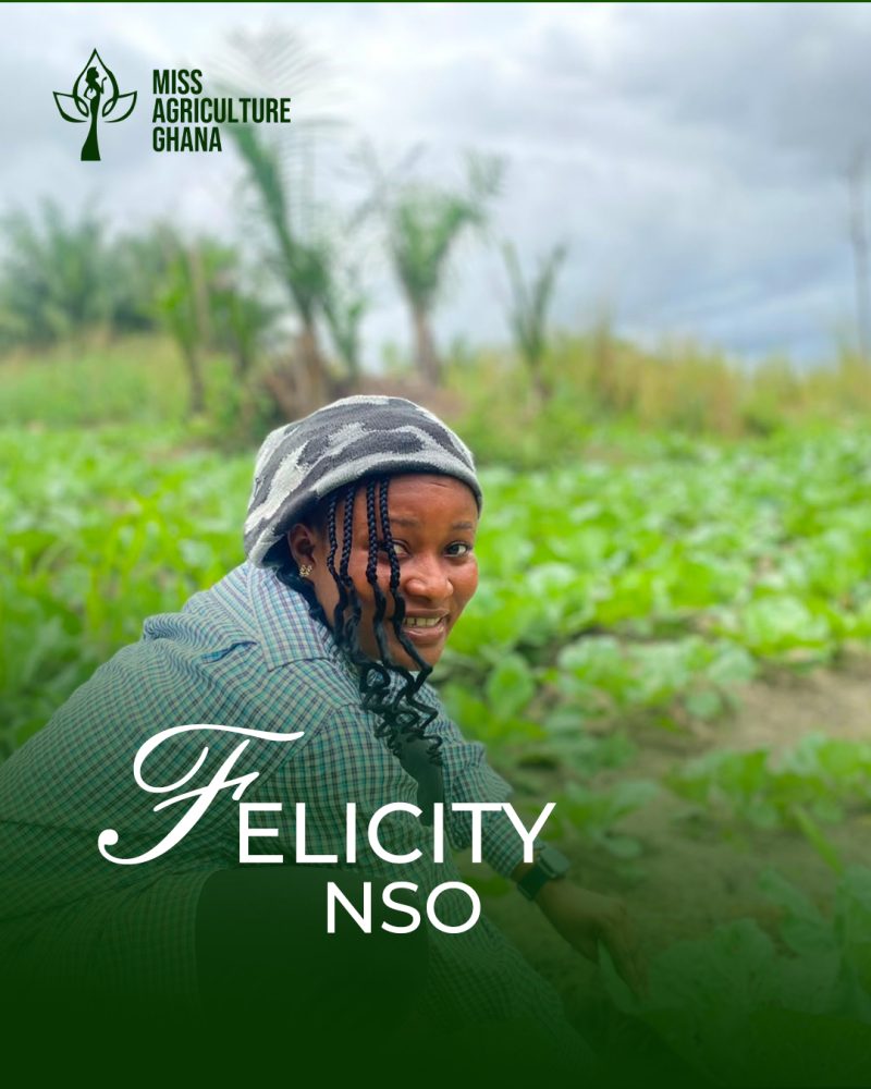 Felicity Nso