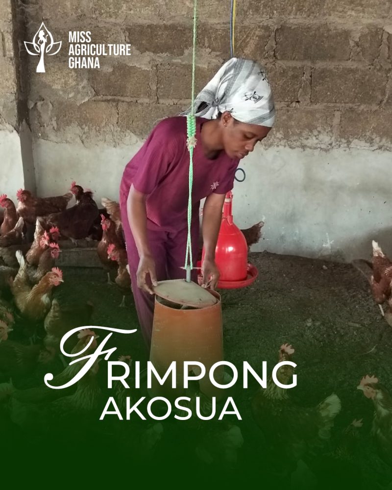 Frimpong Akosua